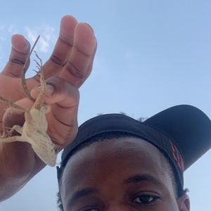 Meet your Posher, Jay